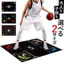 【マラソン期間中 5%OFFクーポン】BACKYARD FAMILY バスケ トレーニングマット pmydt089 スポーツ