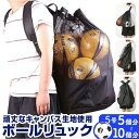 【マラソン期間中 5%OFFクーポン】BACKYARD FAMILY 大量収納ボールバッグ ボールリュック スポーツ
