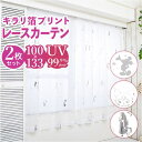 BACKYARD FAMILY キャラクター レースカーテン 2枚組 寝具・インテリア雑貨