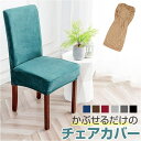 BACKYARD FAMILY 椅子カバー イスカバー pyfz027 収納・家具