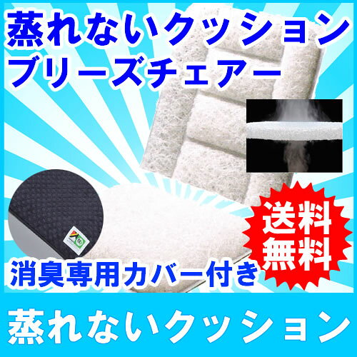 ブリーズブロンズ ブリーズチェア C-2 40×40×高さ40cm チェアクッション 今までの製品には無い高い通気性 ムレや肌へのストレスを低減します。 母の日 ギフトに プレゼントに [2]