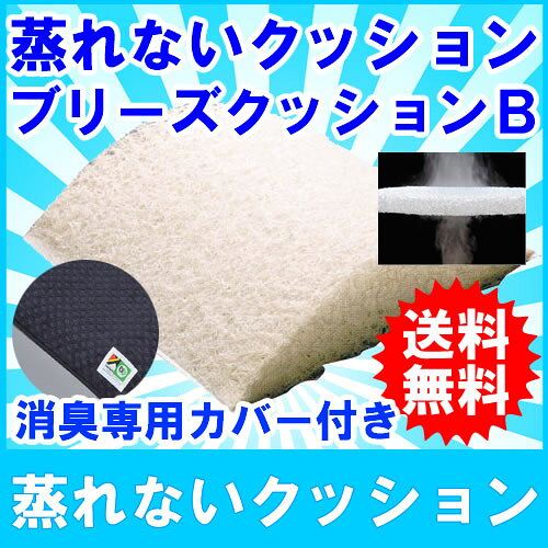 ブリーズブロンズ ブリーズクッションB C-4 40×40cm クッション 今までの製品には無い高い通気性 ムレや肌へのストレスを低減します。 母の日 ギフトに プレゼントに [2]