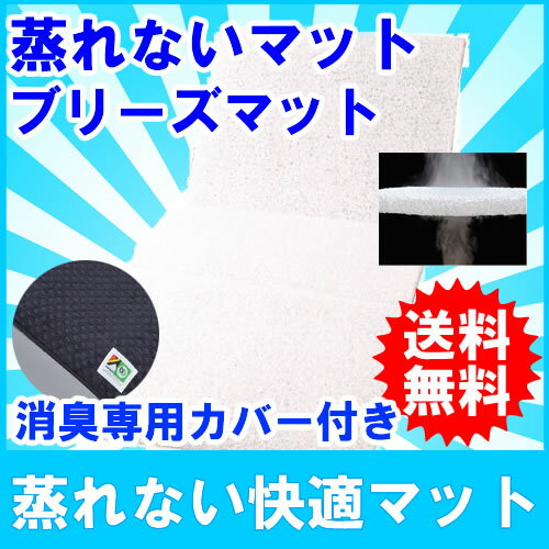 ブリーズブロンズ ブリーズマット C-7 91...の紹介画像2
