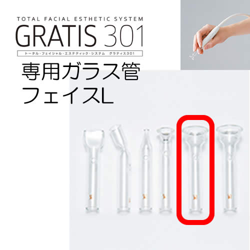 GRATIS 301 ����ƥ���301 ���� ���饹�� �ե�����L (2�ܥ��å�) �ե��������� ���� �Х�󥿥��� ���եȤ� �ץ쥼��Ȥ�