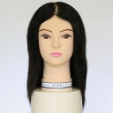 【送料無料※一部地域は除く】 Regina レジーナ レイヤースタイル専門モデルウィッグ 24-12-01 母の日 ギフトに プレゼントに