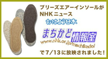 【メール便/送料無料】 消臭インソール　ブリーズブロンズ　ブリーズエアーインソール 男性用　中敷き　ブリーズエアインソール　メンズ　体圧分散　高反発クッション　日本製　自衛隊 衝撃分散