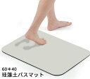 【0&5限定P5倍】【在庫あり!即納】珪藻土バスマット ソフト 吸水マット アスベストなし 珪藻土マット 送料無料 足拭きマット やわらか 割れない 洗える 速...