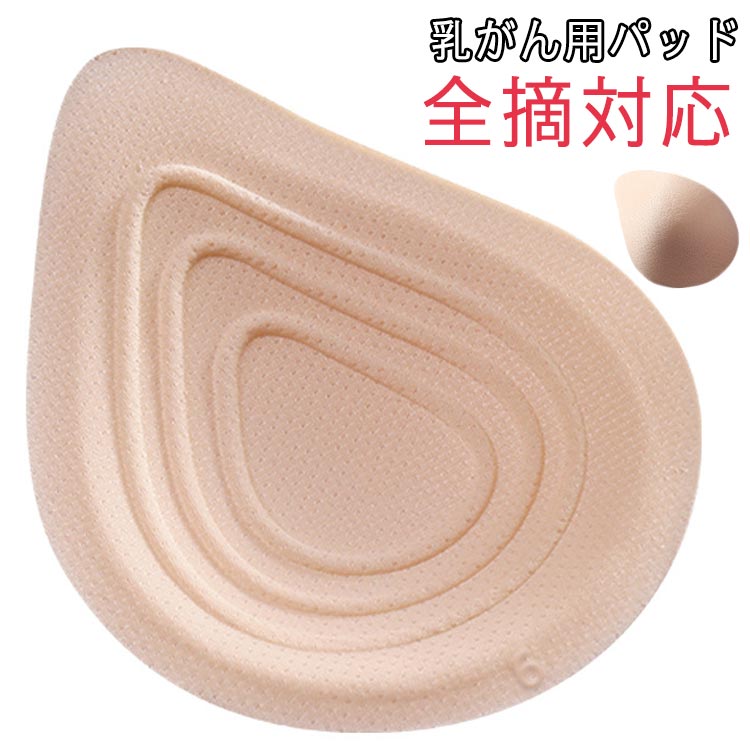 乳がん 乳癌 パット 後 全摘 大きいサイズ 下着 術後ブラ 小さいサイズ 乳がん パット 全摘術専用 手術 人工乳房 下着 術 後 乳がん 痛