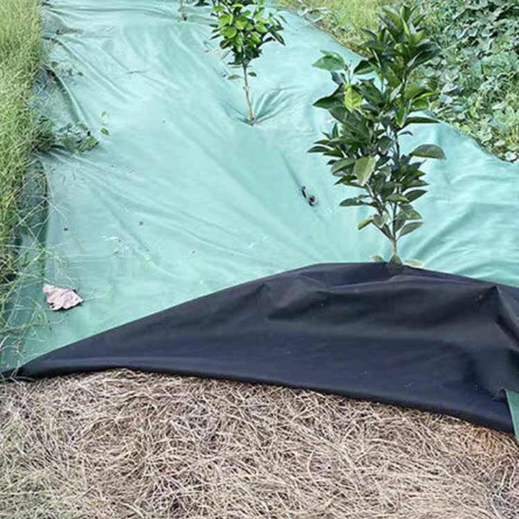 2m×0m 防草シート 除草シート 240 グリーン ピン20本付き 厚手 強力タイプ シート...