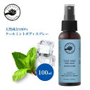 パーフェクトポーション クールミントボディスプレー スーパーエクストラ 100ml (冷感 天然成分 アロマ オーガニック メントール}夏 ひんやり ハッカ 薄...