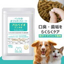 プロバイオデンタルPET 粒タイプ 60粒 (プレミアモード おやつ 猫 犬 小動物用 歯磨き サプリ 乳酸菌 口臭 歯垢}口内炎 歯肉炎 歯周病 歯石 シニア デンタルケア お口すっきり