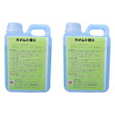 カメムシ博士 1000ml 2個セット (スプレーボトル 刷毛 塗布用容器付き 対策 害虫駆除 塗布 殺虫剤 駆虫 1L 2本セット)【予防 安全】