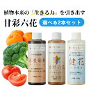 甘彩六花シリーズ 200ml 成長促進バイオ製剤 3種から選べる:2個セット (2本セット 植物 品質向上剤 肥料 甘彩六花 (アマイロリッカ) / 活根彩果 (カッコンサイカ) / 健花 (スコヤカ))【園芸用品 家庭菜園 野菜 果樹 栄養剤 糖度上昇 色艶 収量増加 ガーデニング】