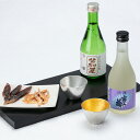 【公式店限定】【公式】能作飲み比べ晩酌セット(おつまみ2種付) ギフト梱包可能 ギフト 記念品 プレゼント 還暦祝い 内祝い 結婚祝い
