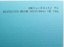 OKミューズコットン 紙 118kg A3サイズ 30枚入り 選べる全50色 厚さ0.22mm 420mm×297mm ファンシーペーパー オリオン そら
