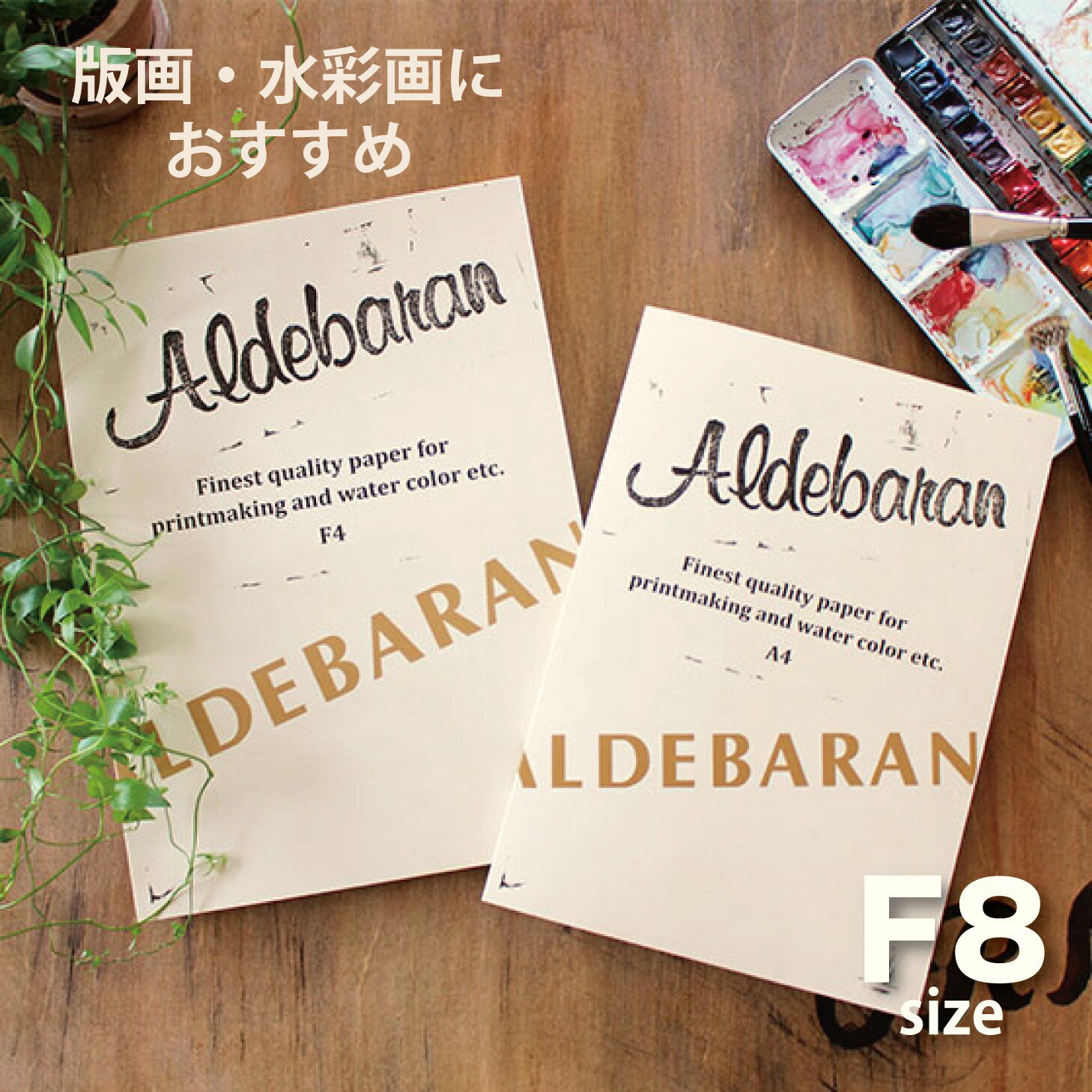 オリオン 水彩紙 版画紙 アルデバラン 250g ブック 15枚入り コットン50％配合 1辺糊付き (ABP-F8)