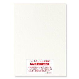 版画用紙 ハーネミューレ 300g 20枚入り (5761 ナチュラルホワイト, B3 （515×364）)