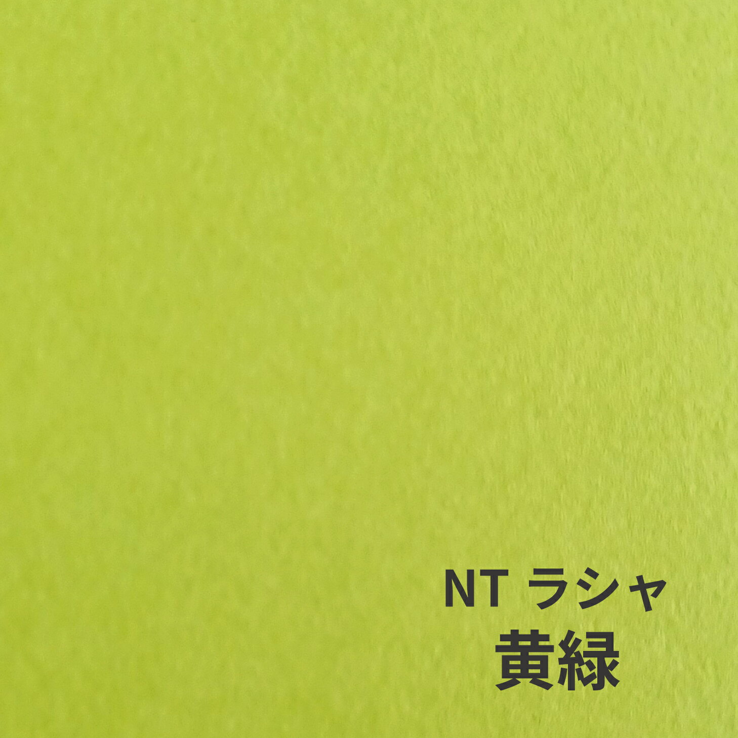 NTラシャ 100kg B2サイズ 30枚入り 厚さ0.17mm ラシャ紙 色画用紙 オリオン 728mm×515mm 黄緑