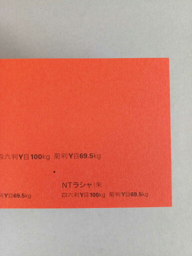 NTラシャ 100kg B2サイズ 30枚入り 厚さ0.17mm ラシャ紙 色画用紙 オリオン 728mm×515mm 朱 NTラシャ 100kg B2サイズ 30枚入り 厚さ0.17mm ラシャ紙 色画用紙 オリオン 728mm×515mm 朱