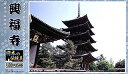 童友社 JD13 興福寺 10188(3)