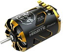 ジーフォース SHIRANUI Drift Motor10.5T G0910