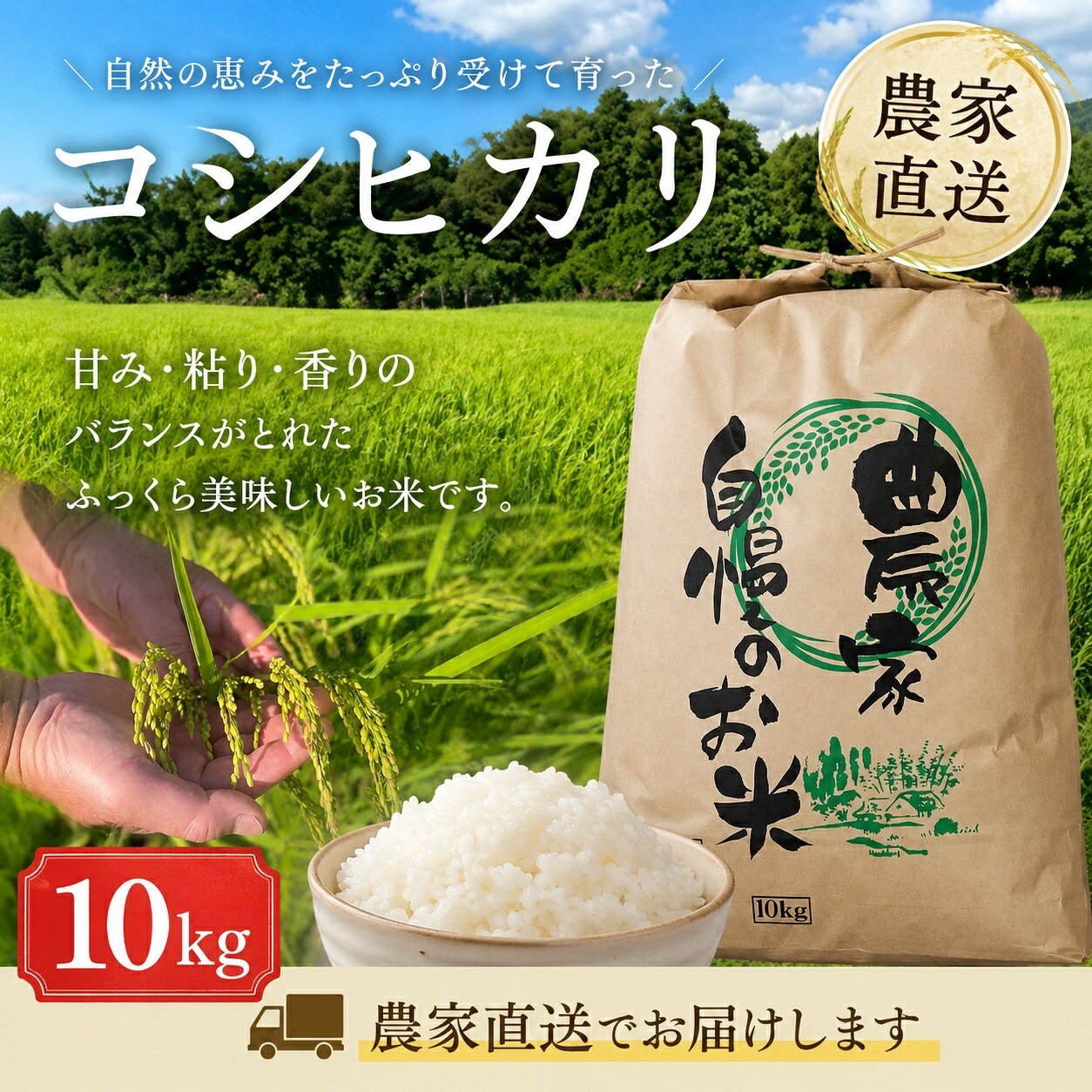 楽天市場】近江米 コシヒカリ 10kgの通販
