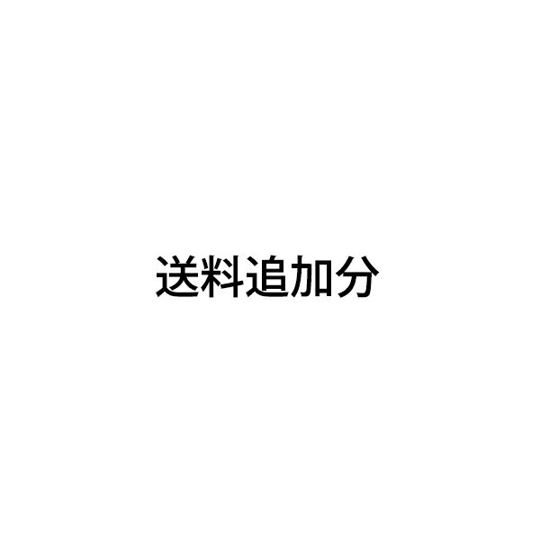 追加送料 クレジット払い 