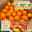 大人気 宮崎県産 きんかん たまたま 秀品 1キロ 糖度16度以上 L/2L/3Lサイズ 送料無料