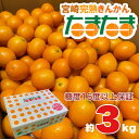 大人気 宮崎県産 完熟きんかん たまたま 家庭用 3キロ 糖度16度以上 L/2L/3Lサイズ 送料無料