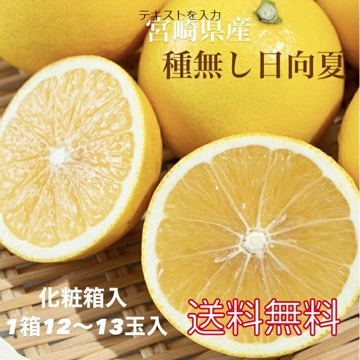 宮崎県産 種なし日向夏 贈答用 ふるさと納税 大人気 地産 特産品 種なし 11玉 12玉 13玉 柑橘 日向夏 ギフト 贈り物 喜ばれる 美味しい おいしい 母の日ギフト フルーツ 果物 柑橘系 贈答 フルーツギフト 送料無料