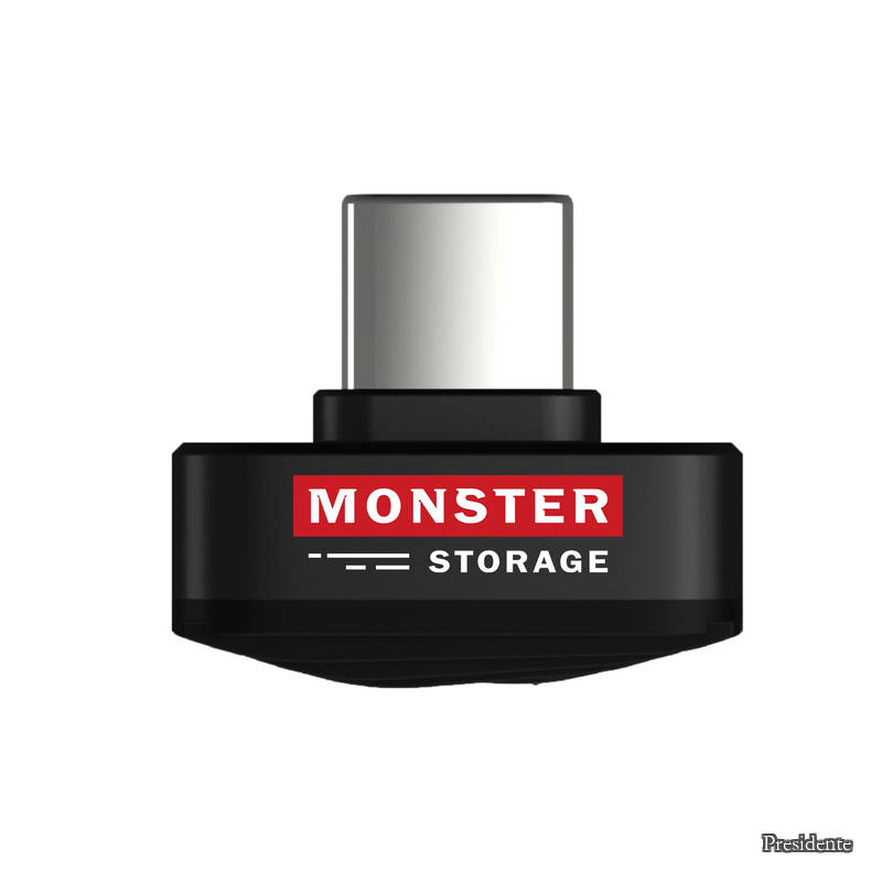【送料無料】超小型外付けSSD 512GB USB3.2 Gen1 Type-C 直挿し 最大読出450 MB/s...