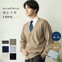 カシミヤ 100% カーディガン メンズ Vネック M L LL 3L プレゼント トップス 長袖 縦長 カシミヤ100% カシミア 男性 父の日 彼氏 夫 紳...