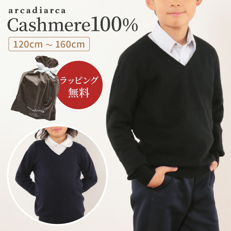 カシミヤ 100％ セーター 子供 Vネック 100〜160cm プレゼント キッズ カシミヤ100% カシミア ニット スクールニット トップス 子供服 子ども服 男の子 女の子 秋冬 防寒 寒さ対策 送料無料 アルカディアルカ arcadiarca