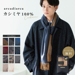 【期間限定！30％ポイント還元】 カシミヤ マフラー メンズ カシミア100% 無地 チェック カシミア 紳士 カシミヤマフラー ギフト 誕生日 プレゼント ギフト アルカディアルカ arcadiarca クリスマス プレゼント