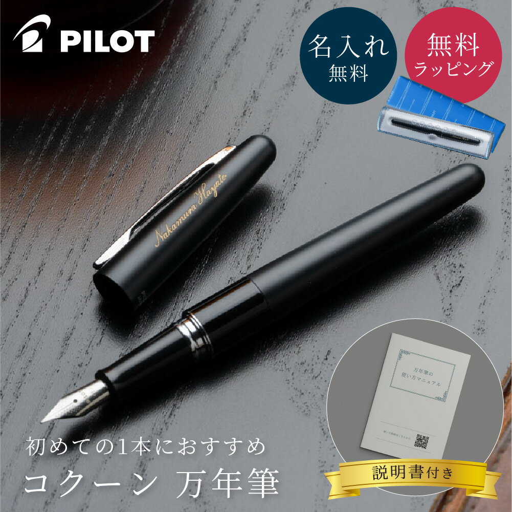 楽天市場】万年筆 パイロット インク セットの通販