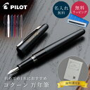 名入れ PILOT コクーン 万年筆スターターセット F 細字(インクカートリッジ付) 万年筆 名入れ 名前入れ パイロット PILOT コクーン COCOON...