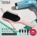 タングルティーザー TANGLE TEEZERイージードライ ブローブラシ 柄付き ヘアケア 艶髪 おしゃれ 正規品 魔法のブラシ くし 携帯用 持ち歩き 女性 母の日 女友達 デート 即日 即日発送