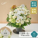 祝!白寿「白」99歳 LL オーキッド 長寿祝い 花 アレンジメント LLサイズ ボリューム 生花 花市場から直送 お祝い 誕生日 記念日 長寿祝い 祖父 祖母 父親 母親 プレゼント 贈り物 ギフト ザワウ 父の日ギフト
