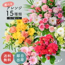 カラフルガーデン アレンジメント S/M/L 生花 花市場から直送 お祝い 誕生日 記念日 フラワーアレンジメント フラワーギフト 宅配 ボリューム 3000円...