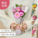 季節のお花おまかせ シーズナルカラフルブーケSS 花市場から直送 花束 生花 2000円 ミニブーケ 卒業 お祝い 誕生日 記念日 可愛い おしゃれ 女性 母の日 韓国ラッピング プチギフト メッセージカード付【5月2日から5月14日はお届け不可となります】