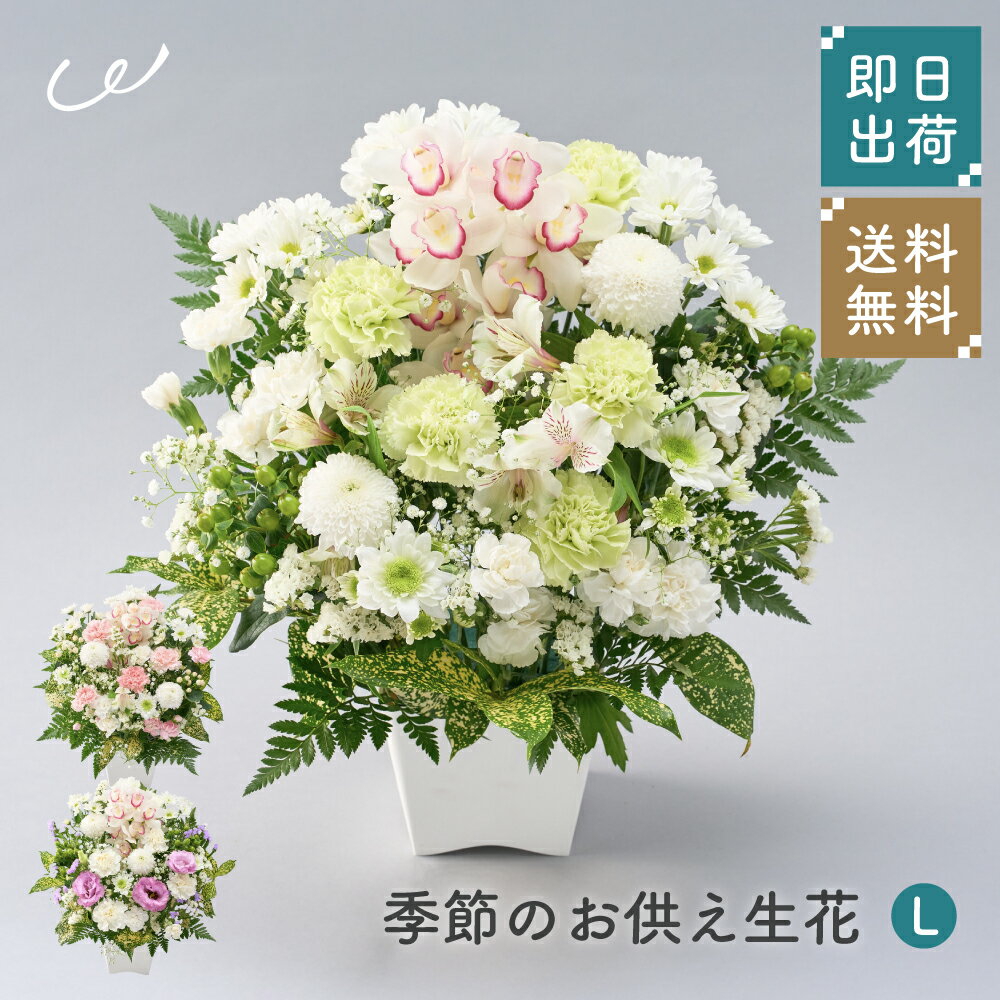 メモリアルアレンジメントL お供え花 供養 胡蝶蘭 コチョウラン そのまま飾れる アレンジメント 生花 花市場から直送 仏花 フラワーアレンジメント お悔やみ花 新盆花 お花 お彼岸 仏壇用 一周忌花 命日 法事 供花 お盆 初盆 ザワウ