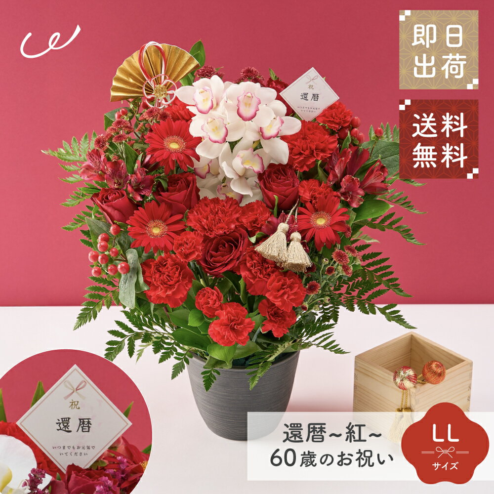 【3/4 20時からP10倍】祝！還暦「紅」60歳 LL オーキッド 生花 花市場から直送 誕生日 長寿祝い 60歳 赤 アレンジメント 生花 花束 プレゼント 即日発送 ザワウ ホワイトデー お返し 父の日ギフトのサムネイル