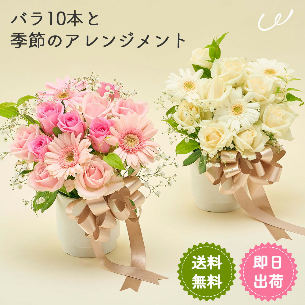バラ10本と季節のお祝いアレンジメント 花束 生花 花市場から直送 アレンジメント 豪華 バラ ガーベラ お祝い お誕生日 かわいい おしゃれ ギフト プレゼント 即日発送 手提げ付き メッセージカード無料 ザワウ