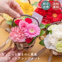 バスケットアレンジメント ミニサイズ Sサイズ 花束 生花 花市場から直送 アレンジメント 豪華 バラ ガーベラ お祝い お誕生日 かわいい おしゃれ ギフト ...
