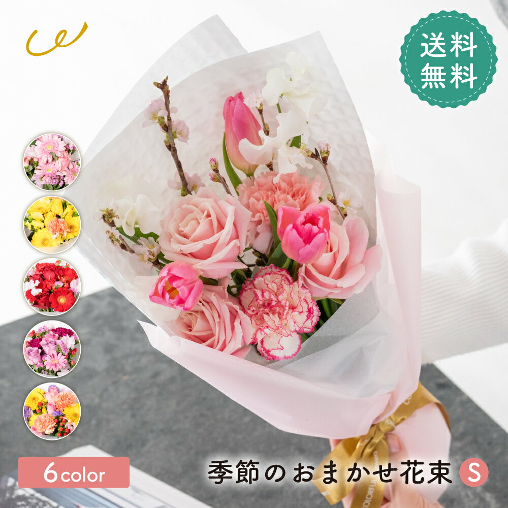 季節のおまかせ 花束Sサイズ 韓国ラッピング 花束 生花 花市場から直送 ガーベラ バラ カーネーション お祝い 誕生日 記念日 プレゼント ギフト 3000円 ラッピング メッセージカード ザワウギフト
