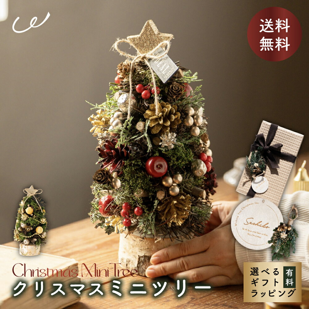 【名入れ可】クリスマスミニツリー クリスマスツリー ミニツリー セット 北欧風 インテリア 装飾 オー..