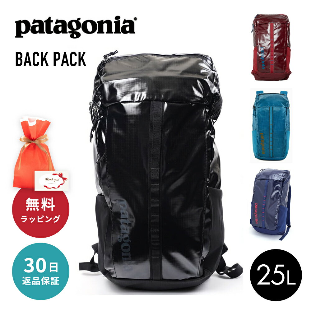 PATAGONIA パタゴニア 49297 バックパック リュックサック バッグ タウン スポーツ 登山 旅行 メンズ レディース ユニセックス ブラック BLACK HOLE BLK クラシックネイビー CLASSIC NAVY CNY 即日発送