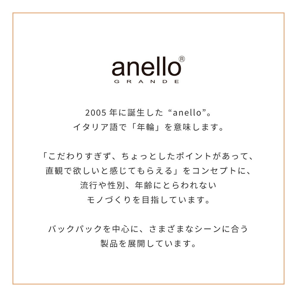 anello GRANDE アネロ グランデ ...の紹介画像3