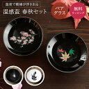 平盃セット 丸モ高木陶器 温感 桜 紅葉 春秋セット 平盃ペアセット温感盃 酒器 日本酒 乾杯 熱燗 ペアセット お祝い ラッピング メッセージカード ギフト ペアギフト プレゼント