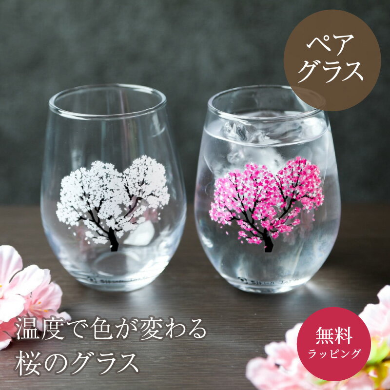 丸モ高木陶器 冷感桜 フリーグラスペアセット 丸モ高木陶器 酒器 グラス 冷酒 グラス 冷酒 日本酒 ラッピング ギフト 誕生日 ペアギフト プレゼント